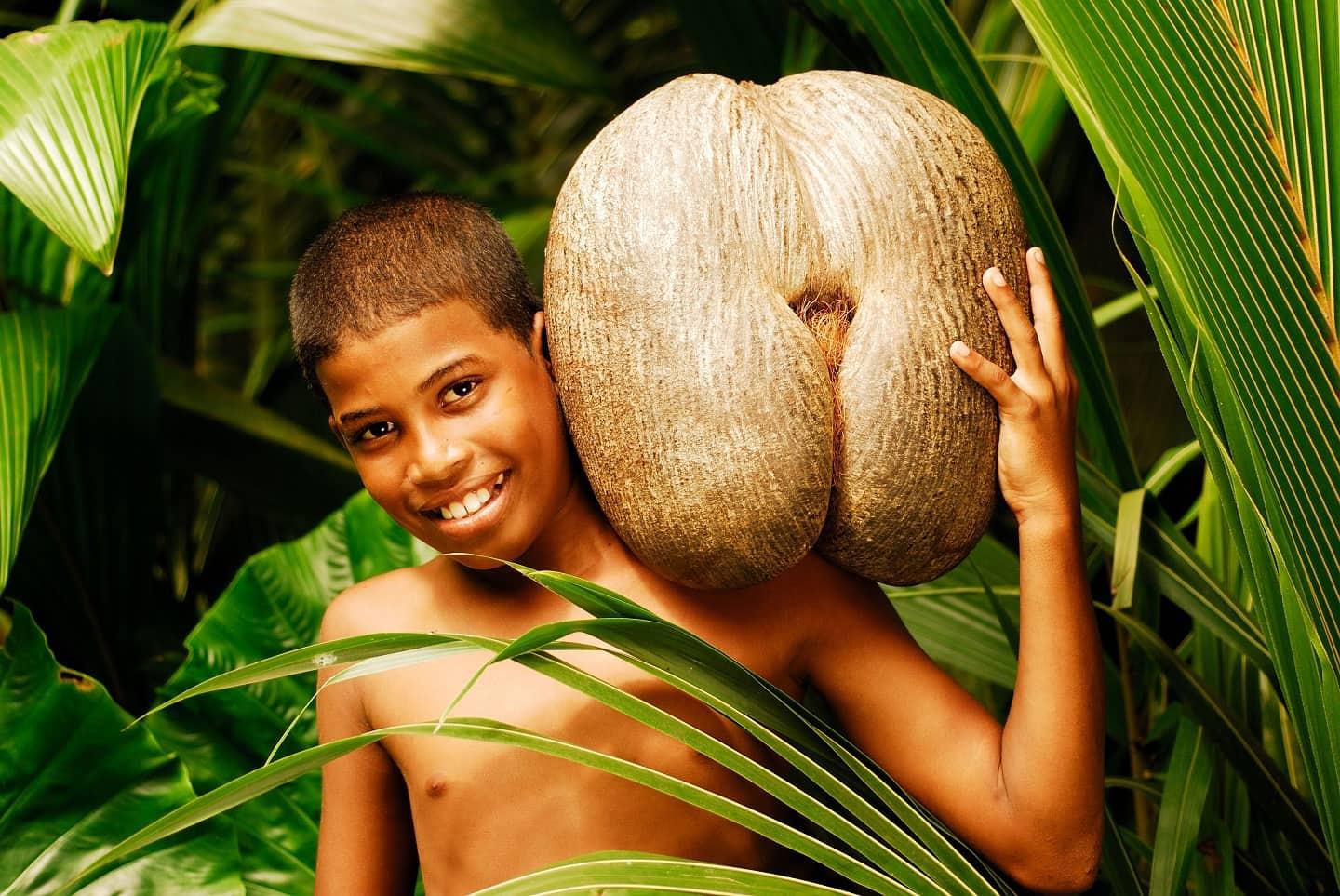 Coco de mer, the world