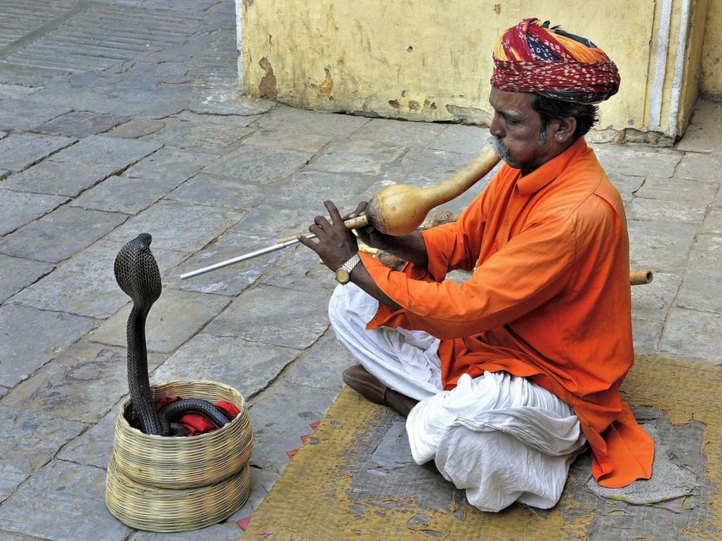 Encantador de serpientes tocando la flauta
