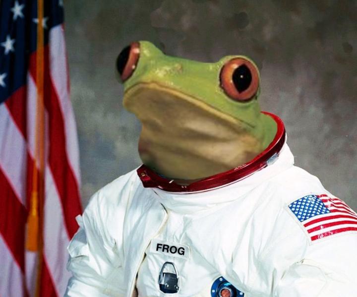 Rana astronauta de la NASAen su misión "Orbiting Frog Otolith"